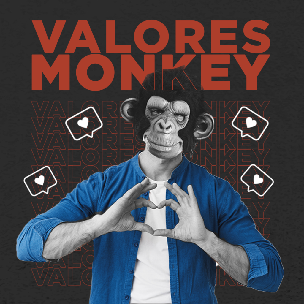 Monkey Solutions Agencia
